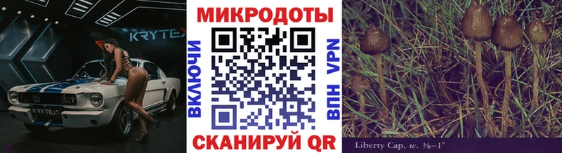 где продают площадка телеграм Галлюциногенные грибы Psilocybine cubensis Красногорск blacksprut ссылка
