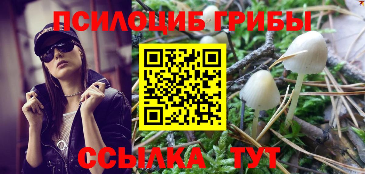 Галлюциногенные грибы Cubensis  где можно купить   Красногорск  Вход с VPN 