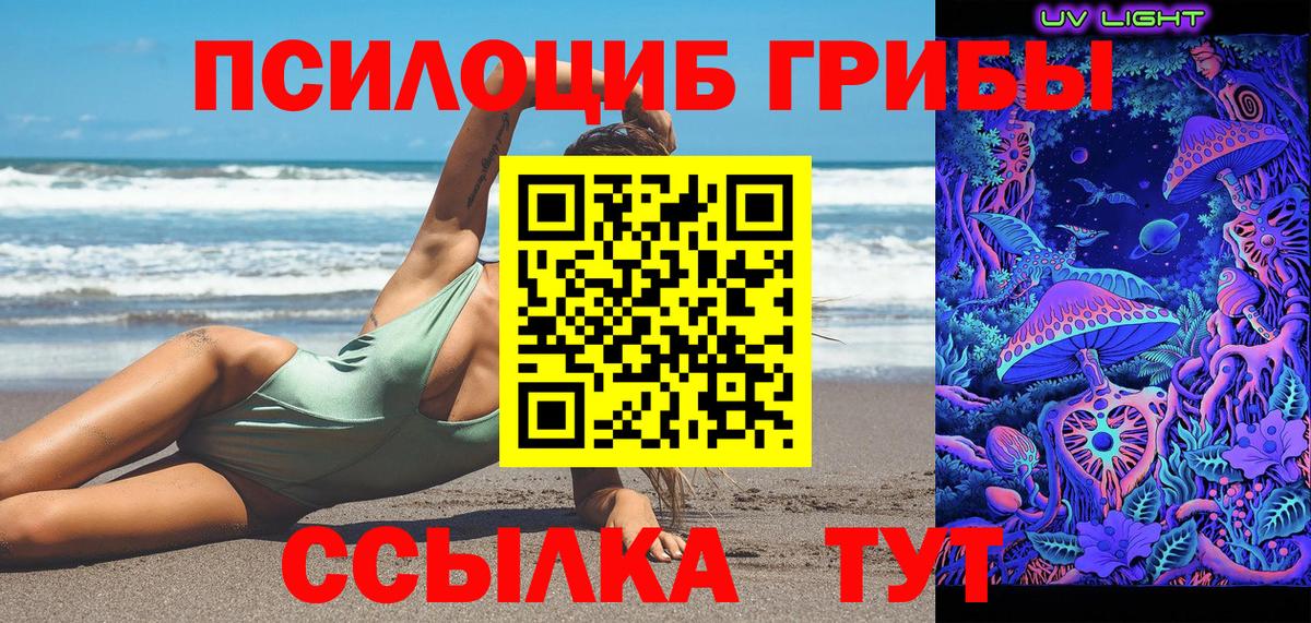 Галлюциногенные грибы Psilocybe Красногорск