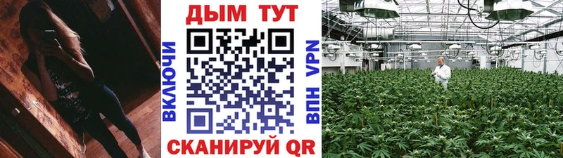 купить наркотик  Красногорск  Конопля Bruce Banner 
